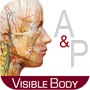 Anatomy & Phisiology